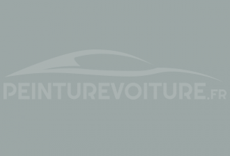 Code peinture Fiat 697 Grigio Cenere