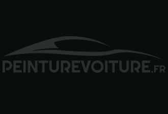 Code peinture Renault 698 Noir Pare Chocs