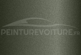 Code peinture Daihatsu 6H1 Light Green