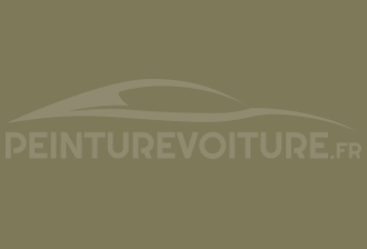 Code peinture Toyota 6L4 Olive