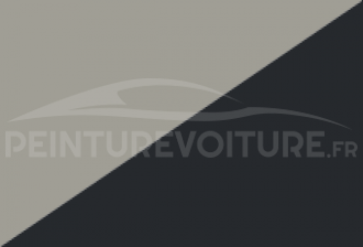 Code peinture Volkswagen 6U/2T La7a + Lc9x