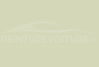 Code peinture Toyota 6V3 Light Green