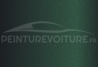 Code peinture Porsche 6VZ Verde Zeltweg