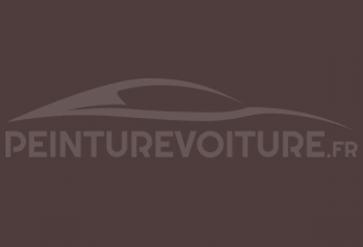 Code peinture Zastava-Yugo 700 Brown