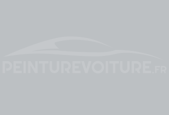 Code peinture Toyota 7021 Grey