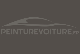 Code peinture Fiat 703/A Grigio Galante - Tortora