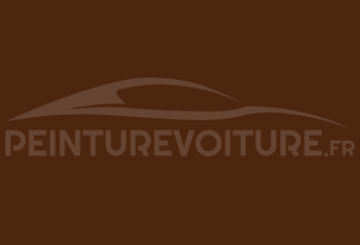 Code peinture Seat 707 Marron