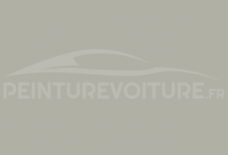 Code peinture Berliet 7076 Gris Lunaire