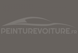Code peinture Tata Motors 710 Cairo Dust