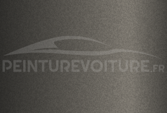 Code peinture Evo 71142 Anthrazitgrau