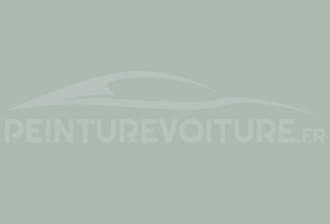 Code peinture Berliet 7202 Gris Horizon