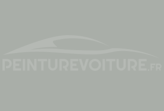 Code peinture Mercedes 7203 Gitter-hellgrau