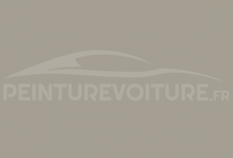 Code peinture Berliet 7272 Gris Rose