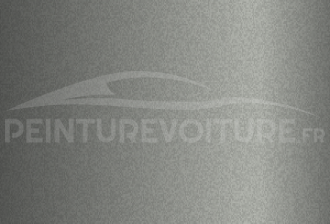 Code peinture General Motors (USA) 73-507 Silver