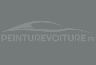 Code peinture Mercedes 7317 Staubgrau
