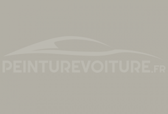 Code peinture DKW 7366 Gris 100