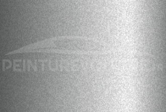 Code peinture Tata Motors TAT739 Minimal Grey