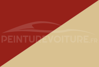 Code peinture Nissan 762 511 + 742