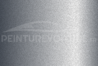 Code peinture Maruti 76B Cool Silver
