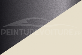 Code peinture Opel 776 752-w101 + 849-n031