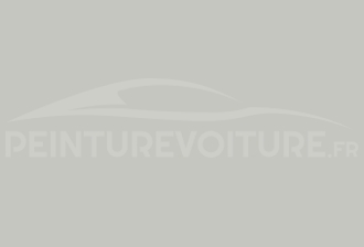 Code peinture Opel 776 UA Lichtgrau