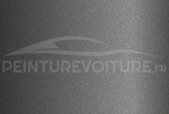 Code peinture Evo 77678 Misty Gray