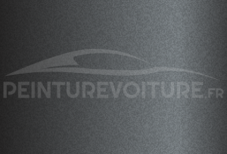 Code peinture Evo 77740 Onixgrau