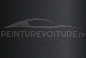 Code peinture Evo 78252 Grigio Drake