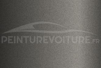 Code peinture Evo 78253 Slate Gray