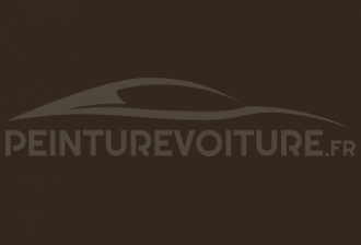 Code peinture Fiat 786 Marrone Brown