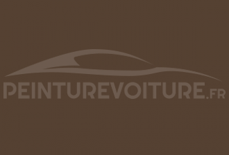 Code peinture Fiat 787 (0787) Marron Matera-brasile-