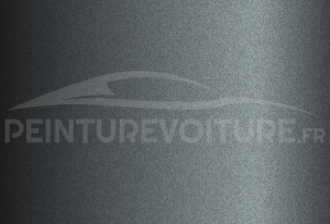 Code peinture Nissan 787 Grey