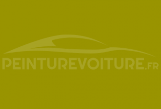Code peinture Opel 794 Aerogruen