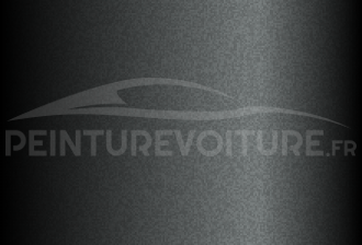 Code peinture Subaru 795 Urban Grey