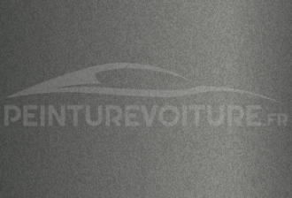 Code peinture Evo 79542 Grau