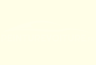 Code peinture Opel 7WH Monaco White