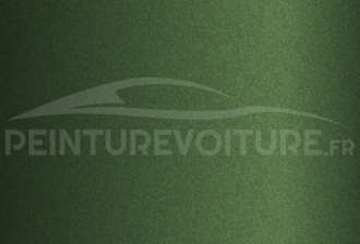 Code peinture Town Life 800/91 Verde Dublino