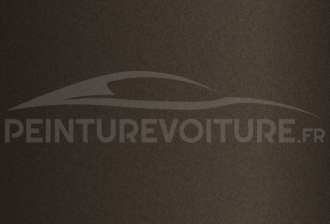 Code peinture Isuzu 804 Y709 Sepia