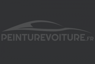 Code peinture Toyota 8110 Dark Grey
