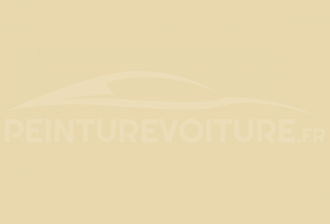 Code peinture Renault 812/88 Buff Yellow