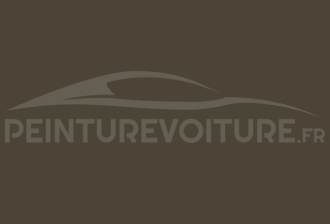 Code peinture Opel 812 Olive Green