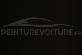 Code peinture Fiat 816 Noir