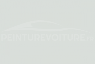Code peinture Renault 819 Bright White