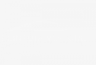 Code peinture Fiat 819/C Snowflake White