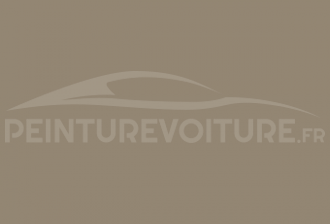 Code peinture Blmc-Rover 82 Antelope