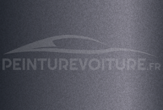 Code peinture Renault 824 Charcoal Grey