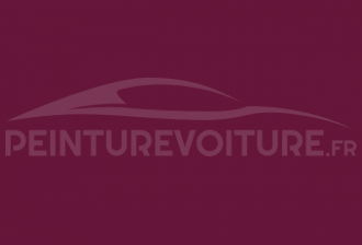 Code peinture Porsche 82U Sternrubin Violet