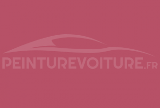 Code peinture Peugeot 8303 Rose