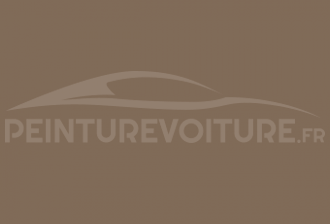 Code peinture General Motors (USA) 831K Medium Cashmere Mat