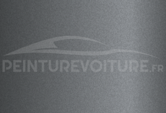 Code peinture Xev 8321 Prototype Grey Matt